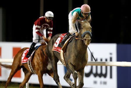 Horse Racing - Dubai World Cup - Meydan Racecourse, Dubai - 25/3/17 - Mike Smith rides Arrogate to the finish line to win the ninth and final race. REUTERS/Ahmed Jadallah