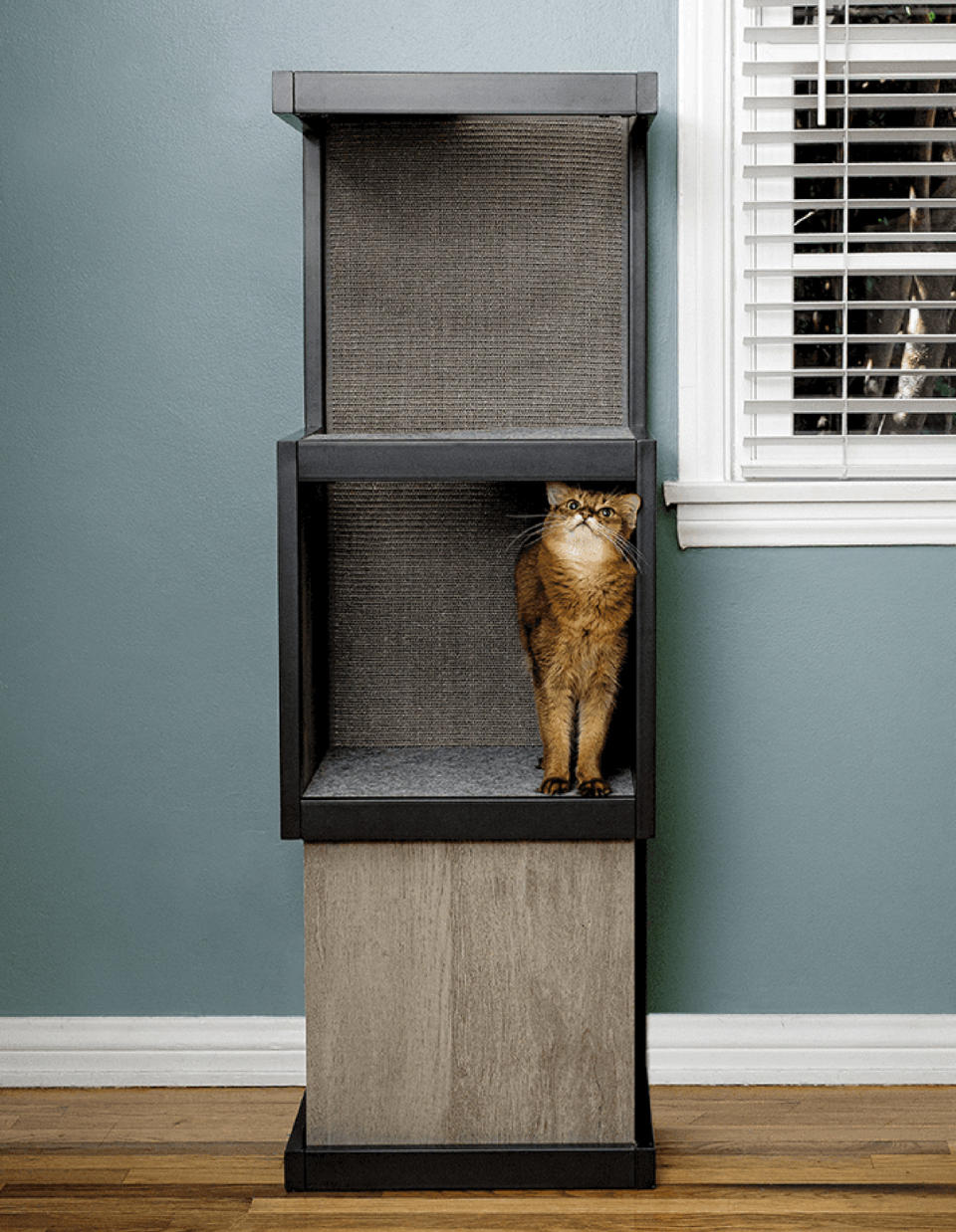 <p>Your house is full of furniture for humans. This scratchable, climbable tower is designed with cats in mind. </p> <p><strong>Buy it!</strong> Cat Tower, $269.00; <a href="https://www.litter-robot.com/shop-all-products/cat-tower.html" rel="nofollow noopener" target="_blank" data-ylk="slk:Litter-Robot.com;elm:context_link;itc:0;sec:content-canvas" class="link ">Litter-Robot.com</a></p>