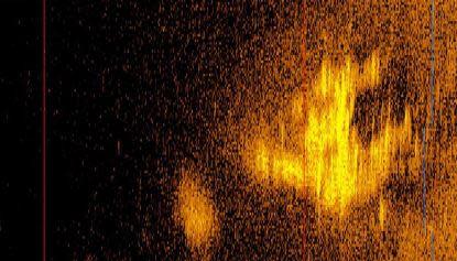Deep Sea Vision said that it had captured a sonar image in the Pacific Ocean that 