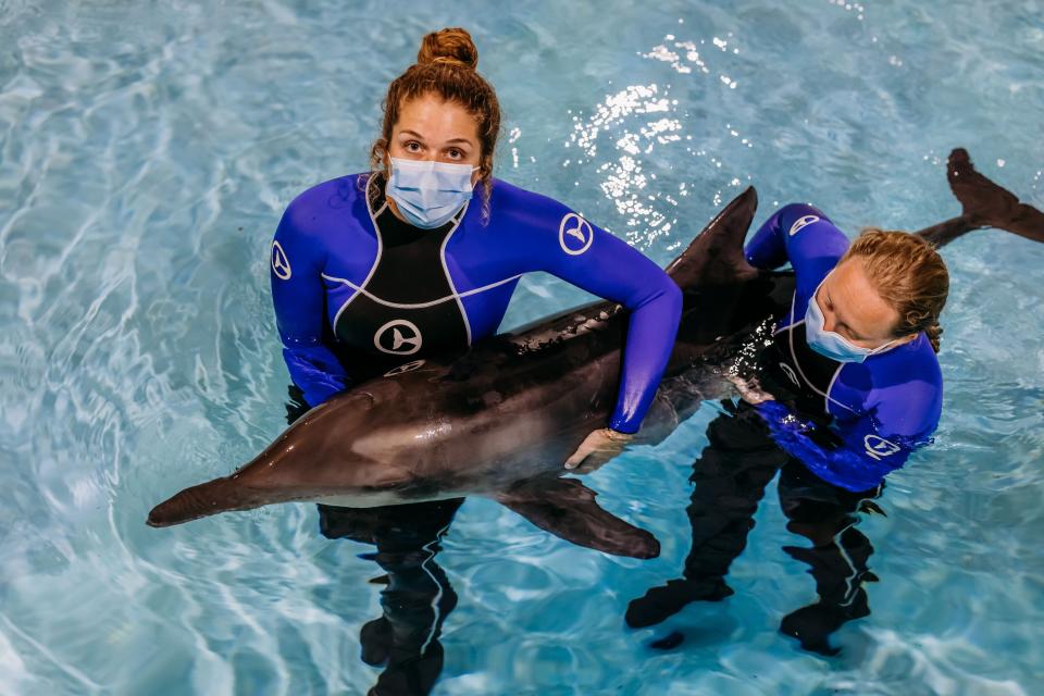 Officials said a dolphin is recovering at a Florida aquarium after being found stranded off the coast last week.