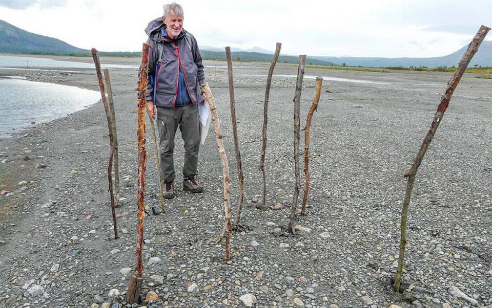 A biologist marked the poles of the fish trap with taller sticks for a preliminary survey.