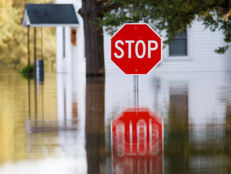 A neighborhood is submerged in flood waters from the swollen Tar River in the aftermath of Hurricane Matthew, in Tarboro, North Carolina on October 13, 2016. REUTERS/Jonathan Drake