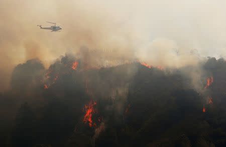 A Cal Fire helicopter flies over Williams Canyon during the Soberanes Fire near Carmel Valley, California, U.S. July 29, 2016. REUTERS/Michael Fiala