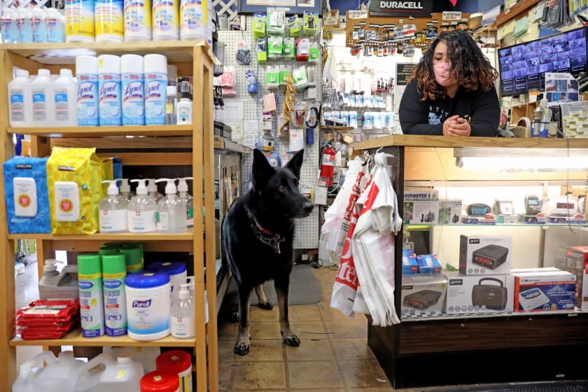 BEVERLY HILLS, CA - APRIL 07: Gabby Garcia, an employee for over eight years, with Maxwell, owner Jeff Tilem's German Shepherd, at Pioneer Hardware on Wednesday, April 7, 2021 in Beverly Hills, CA. Pioneer Hardware a long time, old fashioned hardware store, that is an outlier in the glitzy streets around it and is struggling financially. (Gary Coronado / Los Angeles Times)