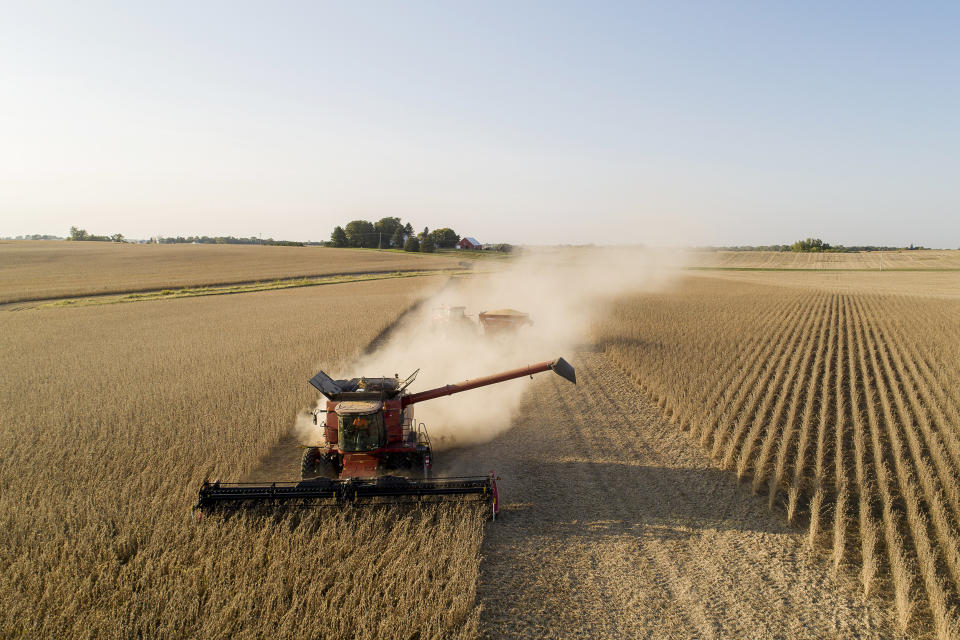 Image: Soybeans are harvested in Wyanet, Ill., on Sept. 25, 2020. (Daniel Acker / Bloomberg via Getty Images)