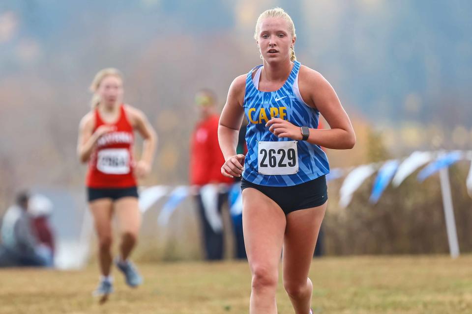 Cleanups at Brandywine Creek State Park in Wilmington help to make the location attractive for events like the DIAA Cross Country Championships (pictured) on Saturday, Nov. 11, 2023.