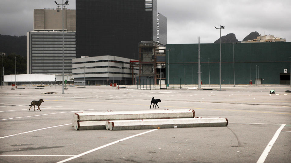 Dogs walk through the abandoned Olympic Park in Rio de Janeiro. (Mario Tama/Getty Images)
