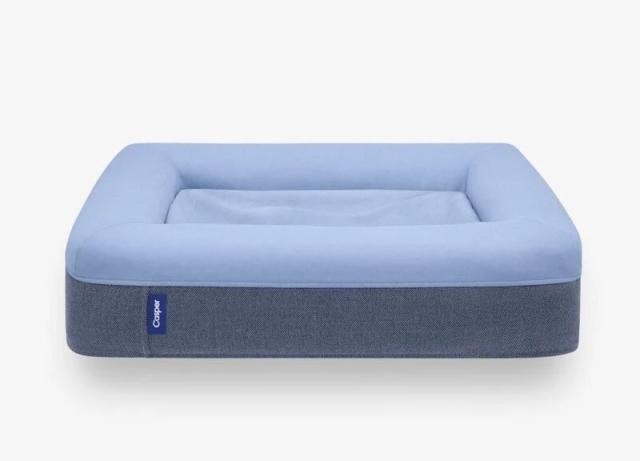 Organic Dog Bed by Avocado - Large/ X-Large - Mailman Blue