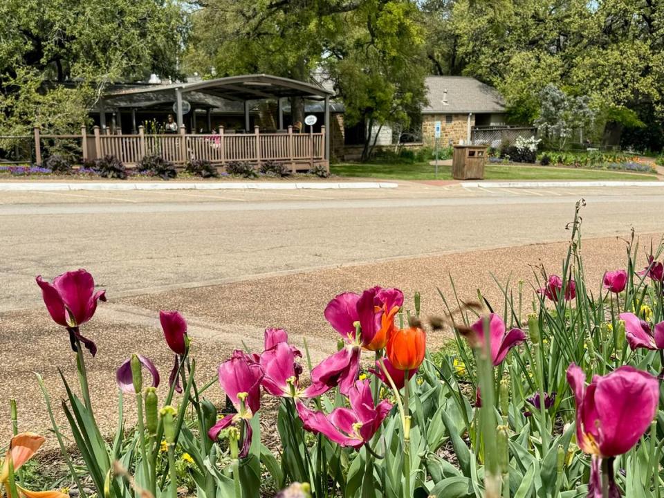 Rock Springs Cafe is in the Fort Worth Botanic Garden, as seen March 20, 2024. Bud Kennedy/bud@star-telegram.com