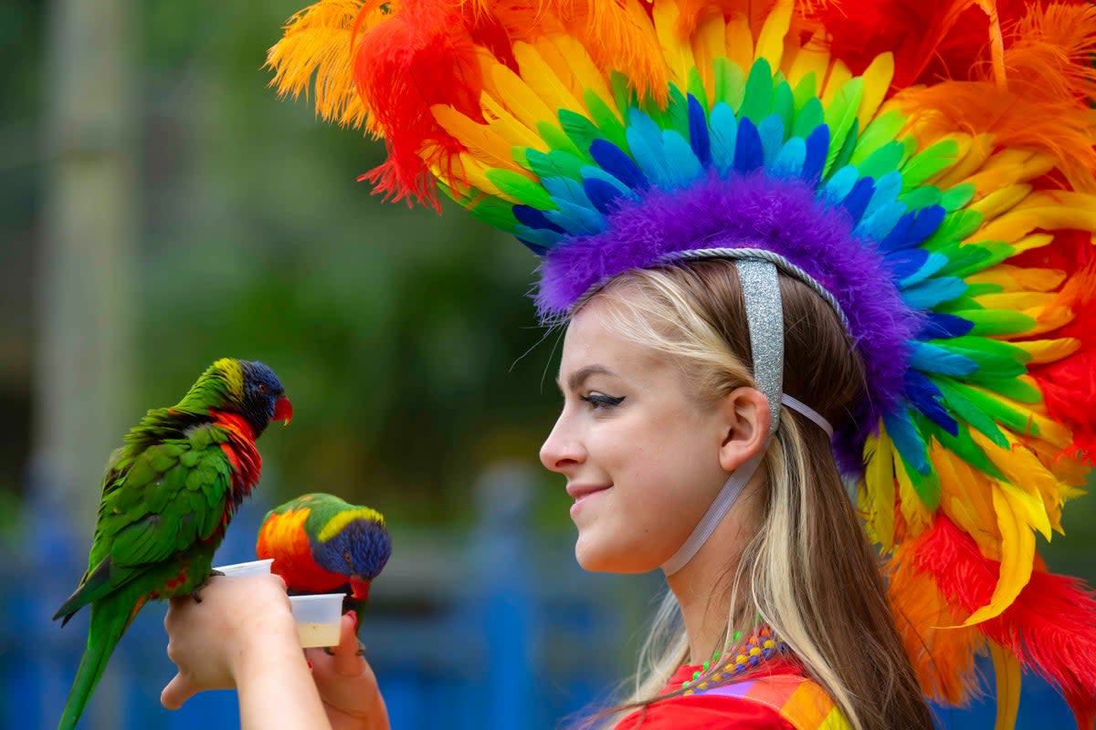 Observed in many nations of the world, Mardi Gras marks the beginning of Lent  (Ben Stevens / PinPep)