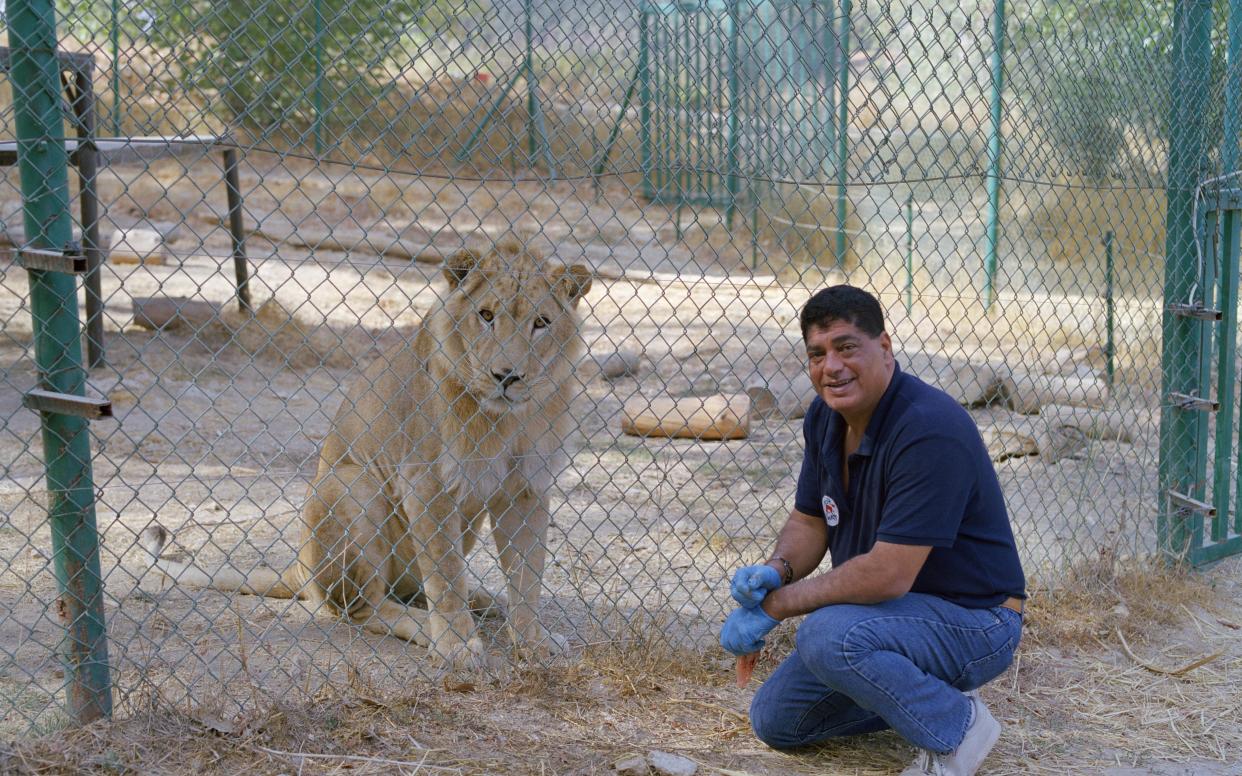 Amir Khalil with Simba the lion at a Four Paws sanctuary in Jordan - Fergus Thomas 