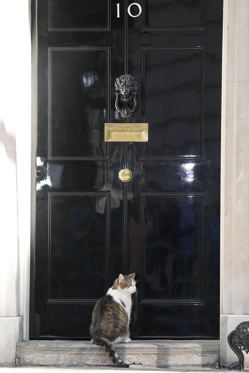 Larry the Cat, Britain's Chief Mouser to the Cabinet Office sits at the door to 10 Downing Street in London, Friday, July 8, 2022. Britain's Prime Minister Boris Johnson announced that less than three years after becoming prime minister, he was resigning and would remain in office only until a successor emerged.(AP Photo/Frank Augstein)