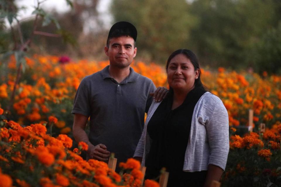 Residentes del área como los esposos Alejandro Torres y Alejandra García, son solo algunos de los miembros del jardín comunitario en Fresno que tienen parcelas llenas con la flor de cempasúchil ya sea para uso personal y también para vender ya que se acerca la celebración de Dia de los Muertos.