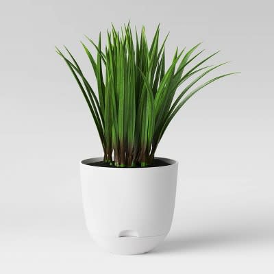 <p><a href="https://go.redirectingat.com?id=74968X1596630&url=https%3A%2F%2Fwww.target.com%2Fp%2F8-self-watering-planter-white-room-essentials-8482%2F-%2FA-76386980&sref=https%3A%2F%2Fwww.elledecor.com%2Fshopping%2Fg60296504%2Fbest-self-watering-planters%2F" rel="nofollow noopener" target="_blank" data-ylk="slk:Shop Now;elm:context_link;itc:0;sec:content-canvas" class="link rapid-noclick-resp">Shop Now</a></p><p>Plastic Self-Watering Planter</p><p>target.com</p>