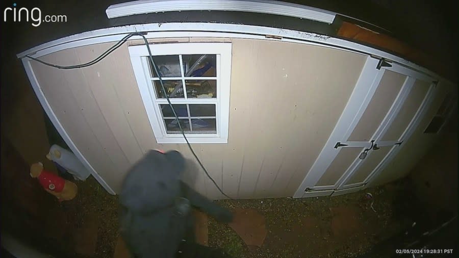 A suspect peering into the window of a Westchester home in Los Angeles County amid a series of violent break-ins.