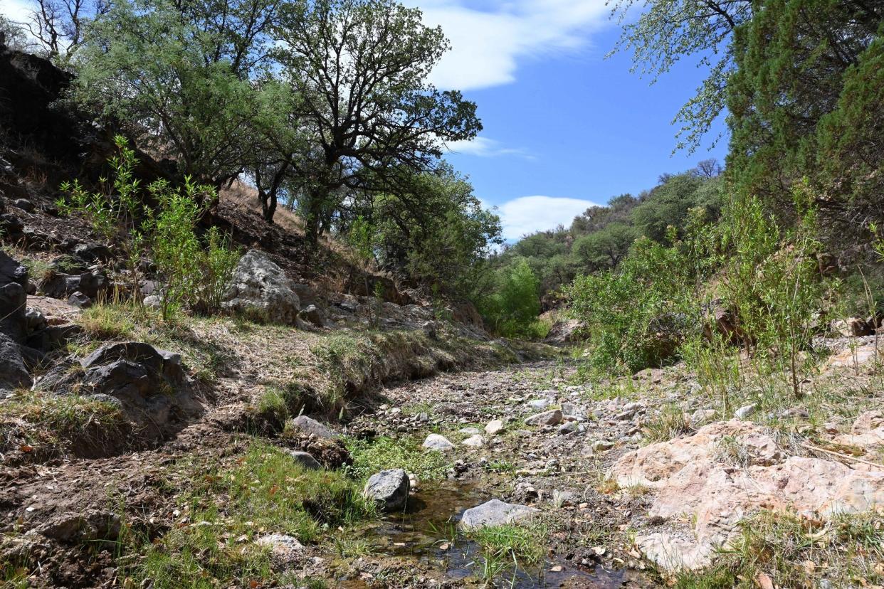 Harshaw Creek runs through the Patagonia Mountains, where conservation advocates say they're concerned about the potential effects of proposed mining projects.