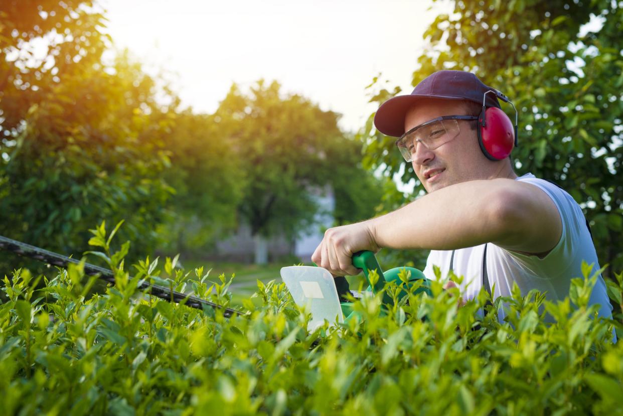 Professional gardener with safety equipment pruning bushes with trimmer in sunset.