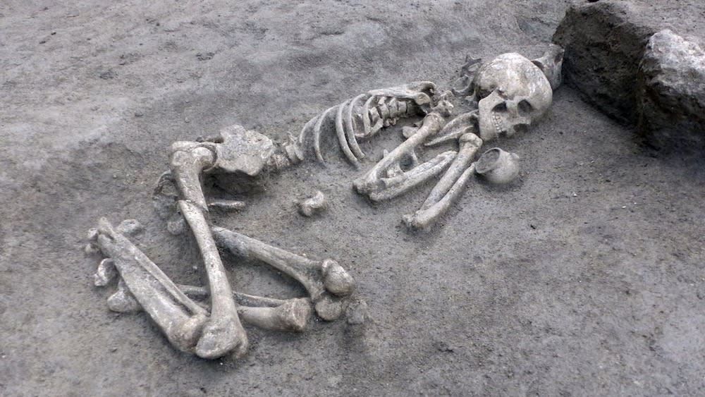  A skeleton buried at a Neolithic site . 