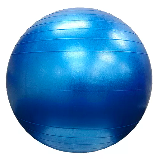 Fitter Classic Duraball 65 CM. Image via Sport Chek.