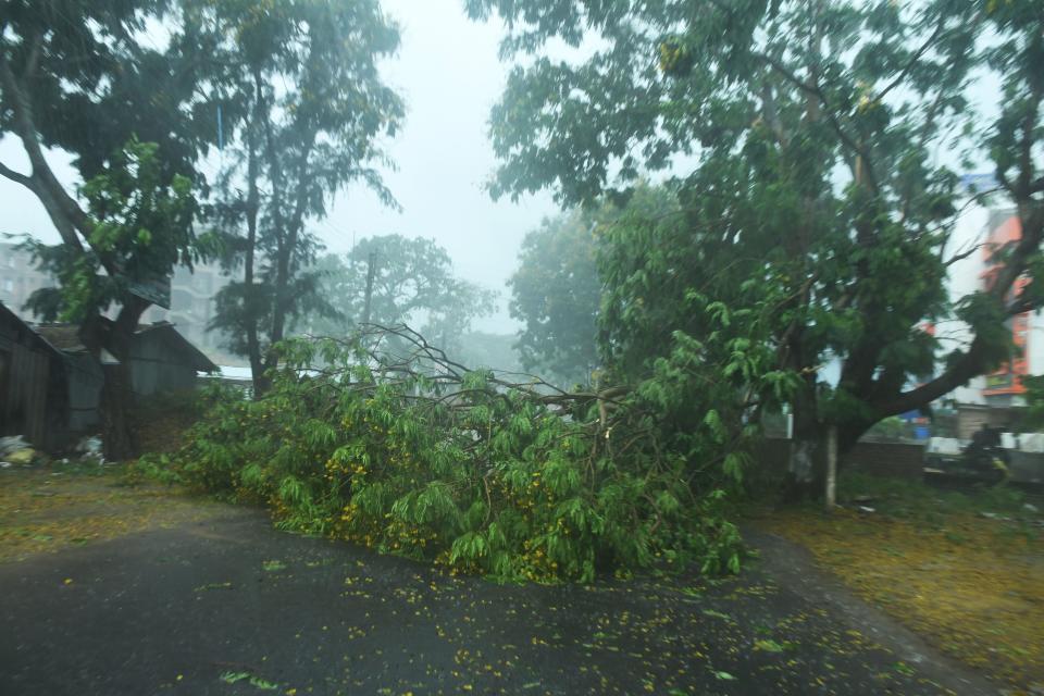 Fallen tree branches are seen along a road ahead of the expected landfall of cyclone Amphan in Digha, West Bengal, on May 20, 2020. (Photo by DIBYANGSHU SARKAR/AFP via Getty Images)