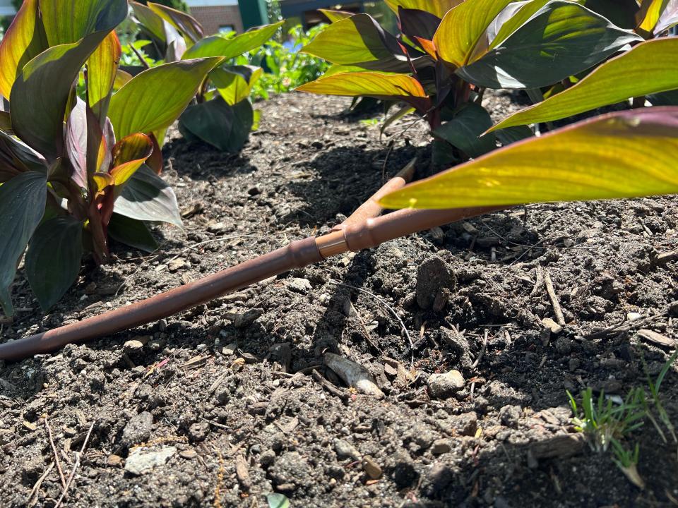 This May 18, 2022 image shows a drip-irrigation system installed around plantings in Westbury, N.Y. (Jessica Damiano via AP)