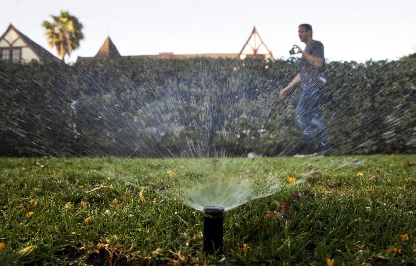 sprinklers watering the lawn