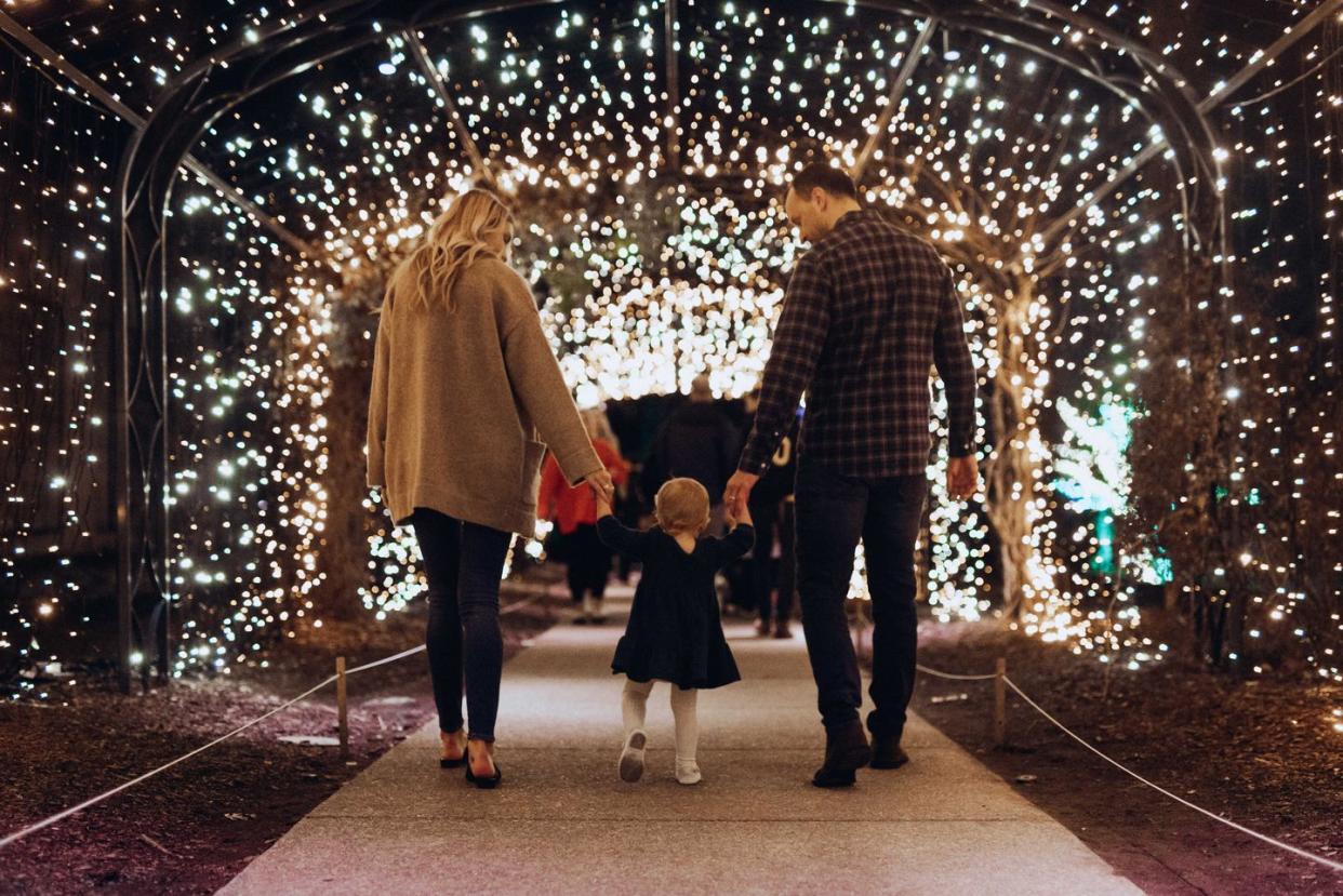 a group of people walking through a christmas tree