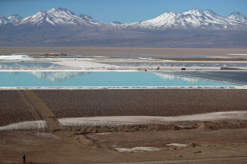 FILE PHOTO: The Wider Image: Water fight raises questions over Chile lithium mining