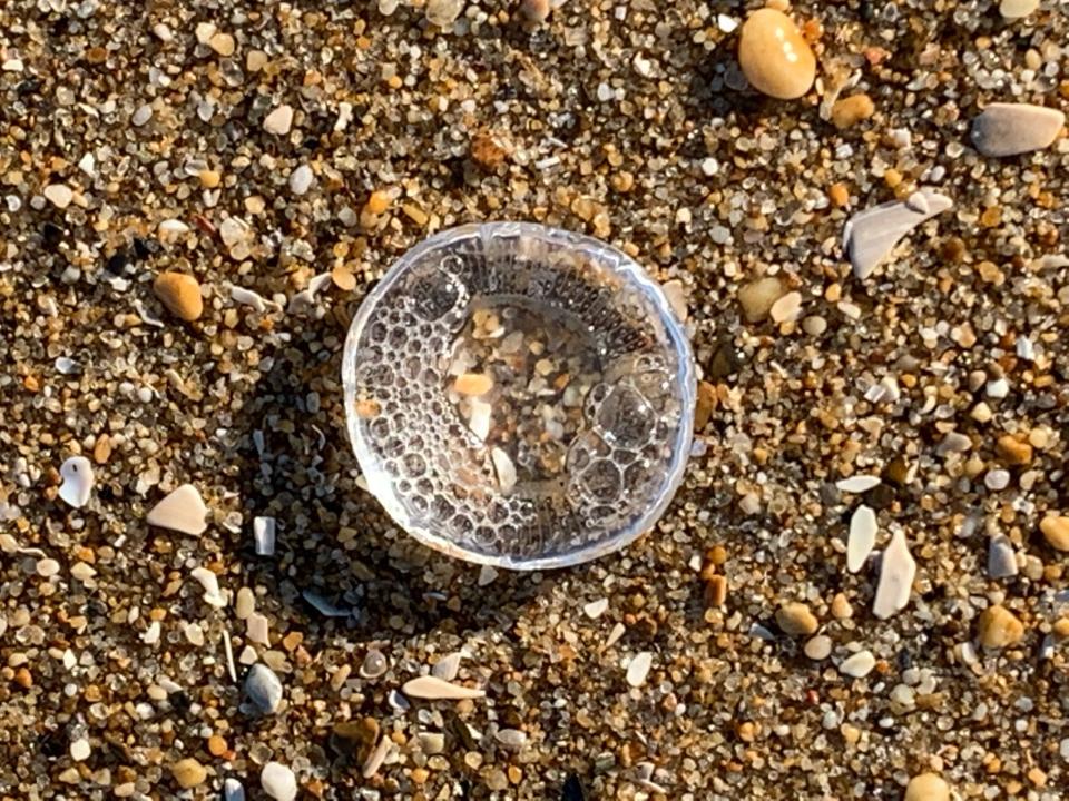 Crystal jellies resemble the bottom of a glass soda bottle.