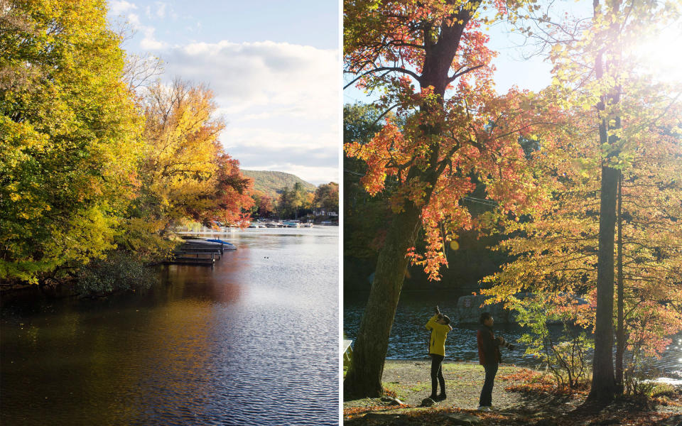 How to be a Leaf Peeper