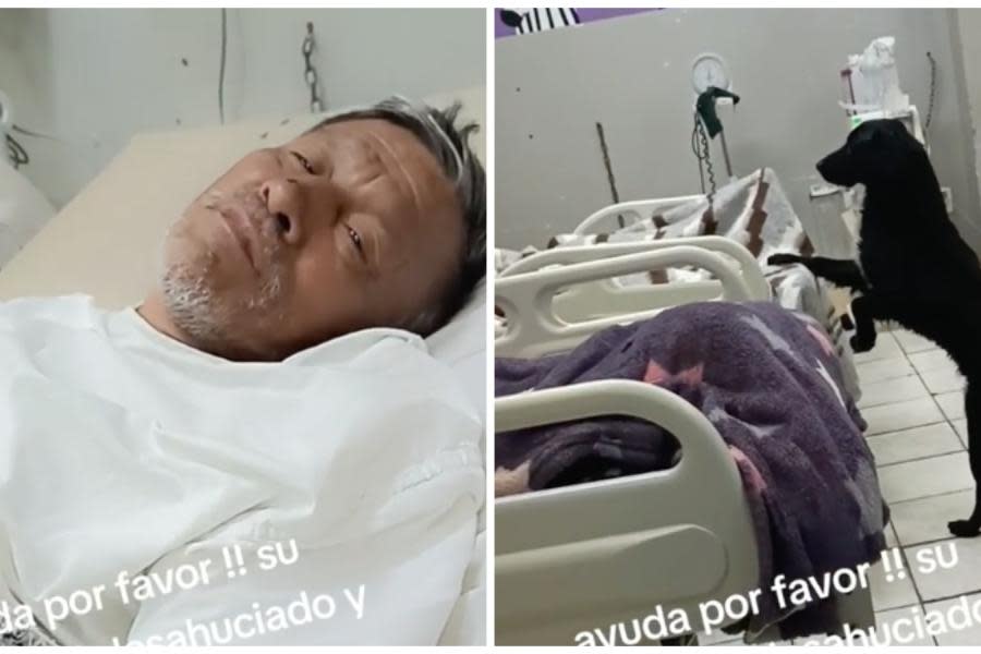 Hombre en su lecho de muerte ruega para que alguien adopte a su perrito