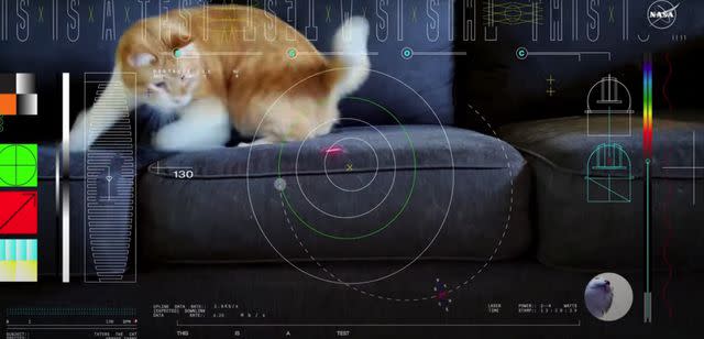 <p>NASA/JPL-Caltech</p> Taters the cat chases laser in a video sent from deep space by NASA