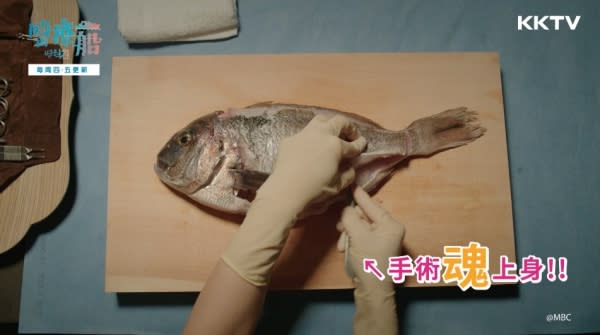 河智苑歐尼小當家4ni？ 手術刀切生魚片