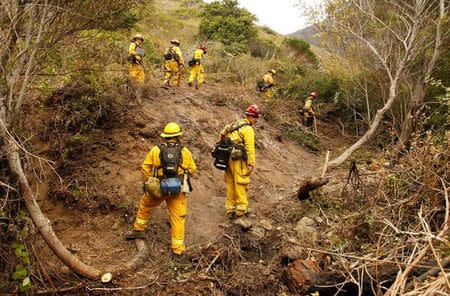 Captain Ben Cowles (C) and other firefighters from El Dorado Hills create fire breaks in rugged terrain at Garrapata State Park during the Soberanes Fire north of Big Sur, California, U.S. July 31, 2016. REUTERS/Michael Fiala