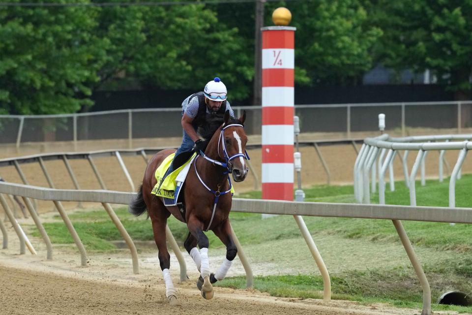 May 14, 2024; Baltimore, Maryland, USA; Mystik Dan working out this morning with exercise rider Robbie Alvarado at Pimlico Race Course. Mandatory Credit: Mitch Stringer-USA TODAY Sports