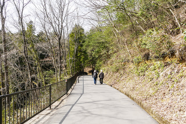 【日本100名城】【山陰兵庫縣】竹田城跡 天空之城