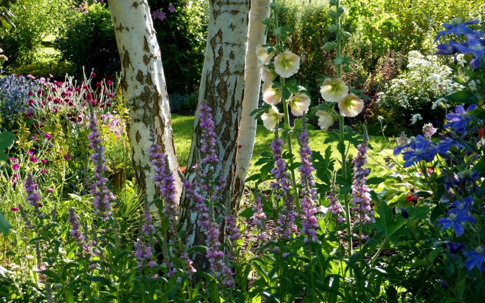 Self-seeders like foxglove will need to be culled - GAP 