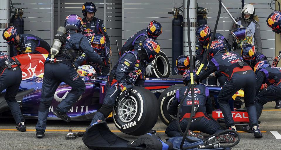 Sebastian Vettel of Germany is attended to by his crew during a pit stop during the Brazilian F1 Grand Prix at the Interlagos circuit in Sao Paulo