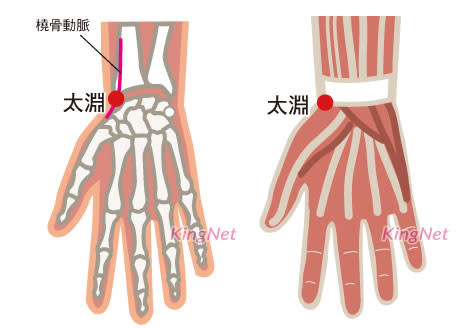 bnt疫苗穴道