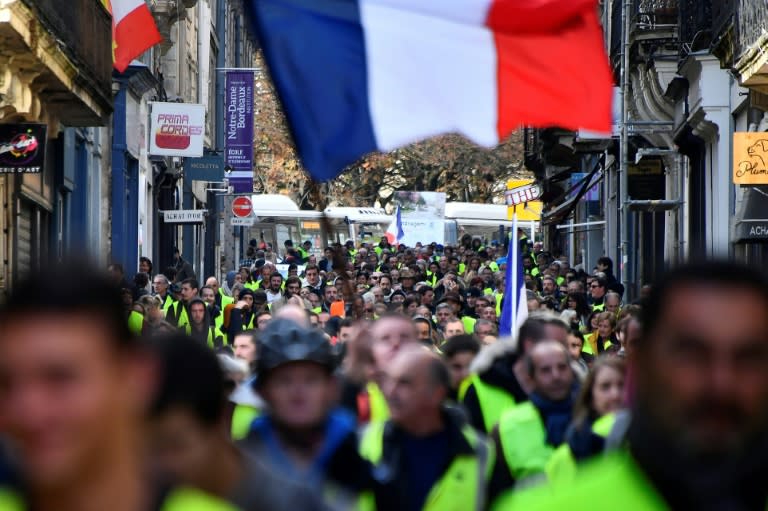 "Yellow vest" protesters have been demonstrating around France against fuel taxes