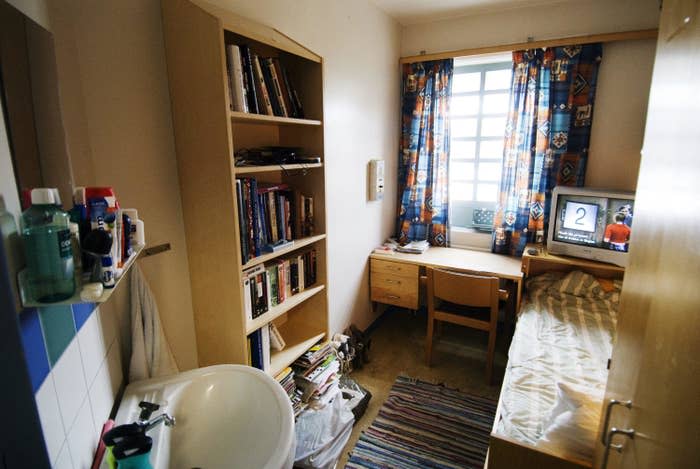 A room with a window, large bookcase, twin bed, small desk and chair, small rug, TV, and sink