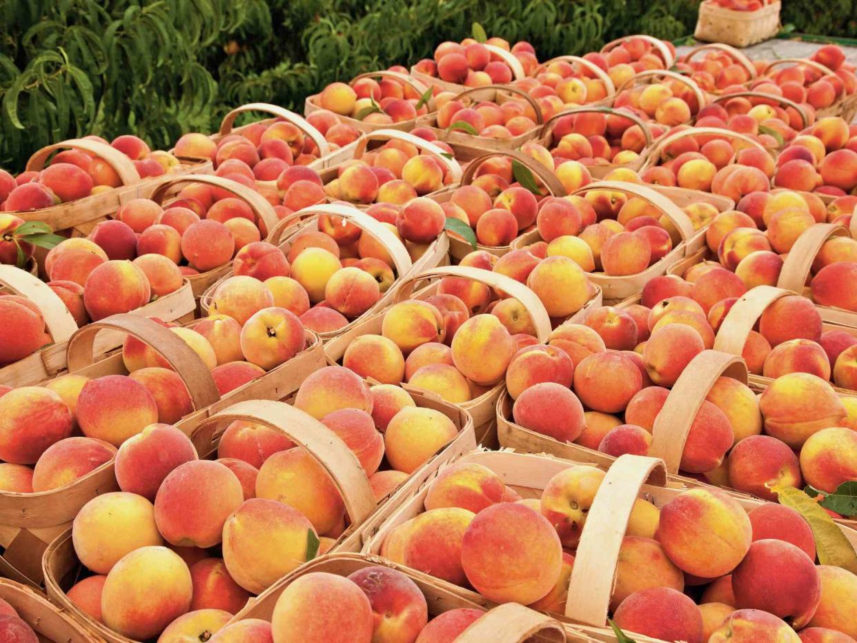 Closeup image of wooden crates filled with ripe peaches