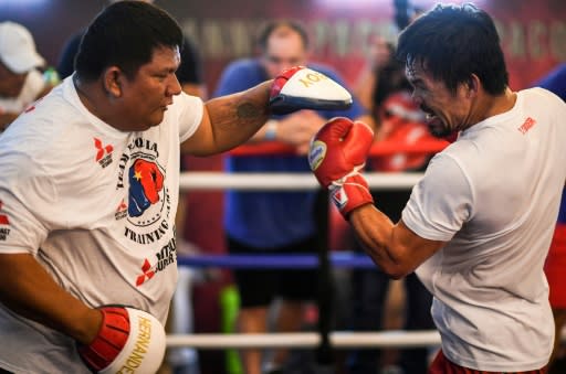 Manny Pacquiao suffered a shock defeat to Australia's Jeff Horn last year