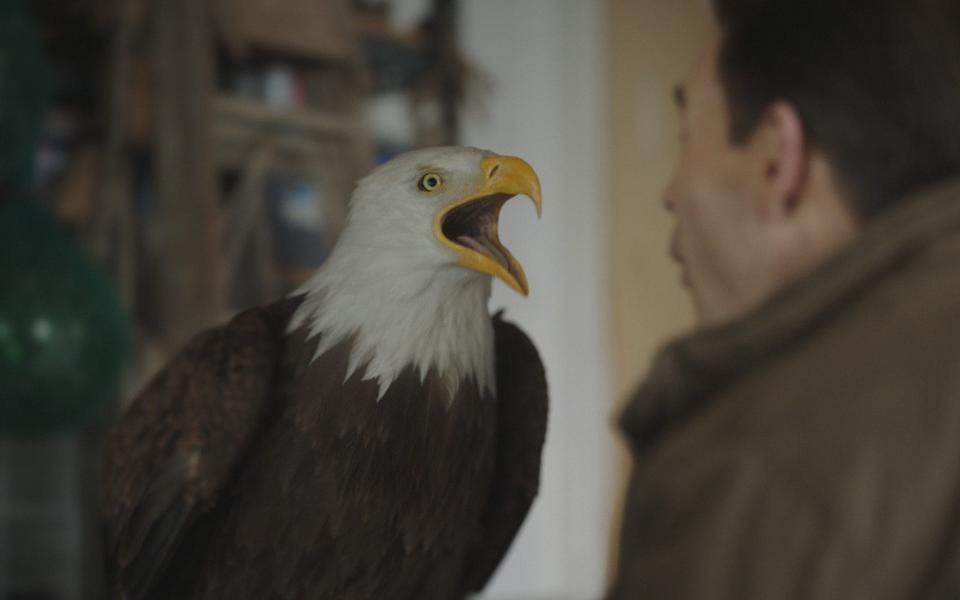 Peacemaker's pet Eagle, "Eagly" - HBO