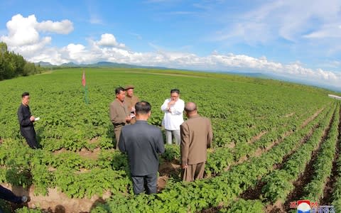 Kim Jong-un was inspecting a potato farm at the time of Mike Pompeo's visit - Credit: Reuters