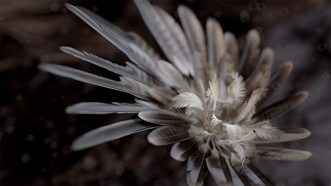  Houdini 20 review; a render of feathers. 