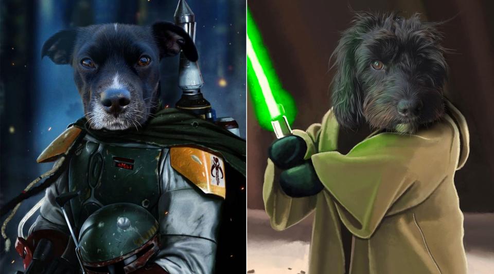 Best Star Wars Gifts: Star Wars Custom Dog Portrait