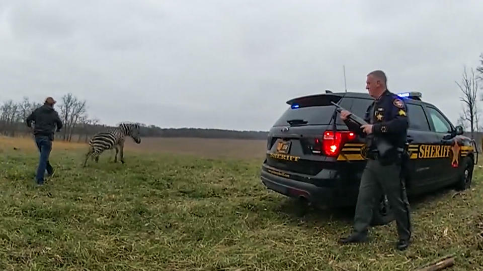 Sheriff's deputies respond to an incident of a zebra biting a man on March 13, 2023, at a farm in Circleville, Ohio. (Pickaway County Sheriff's Office)