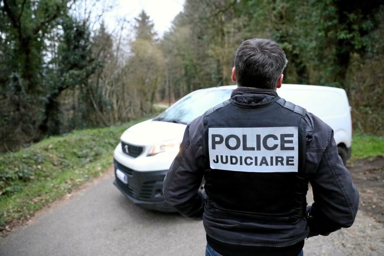 Une dizaine de vertèbres lombaires ont été récoltées par les enquêteurs dans la forêt domaniale de Notre-Dame. (Illustration)   - Credit:Lionel Le Saux / MAXPPP / PHOTOPQR/LE TELEGRAMME/MAXPPP