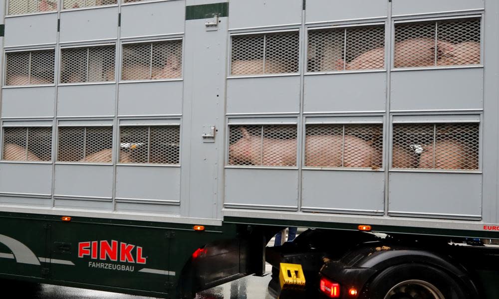 <span>Photograph: Wolfgang Rattay/Reuters</span>